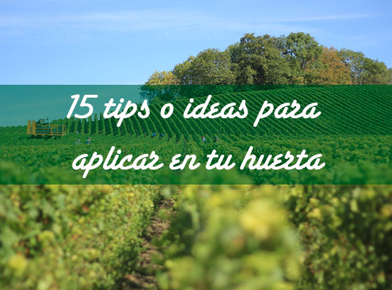 15 tips o ideas para aplicar en tu huerta